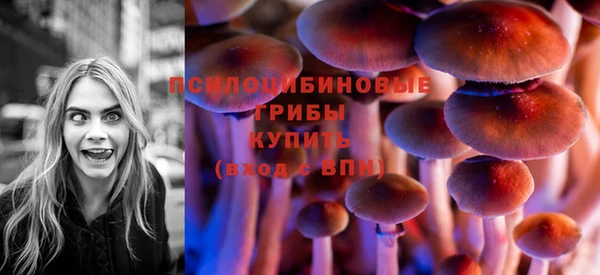 дурь Белоозёрский