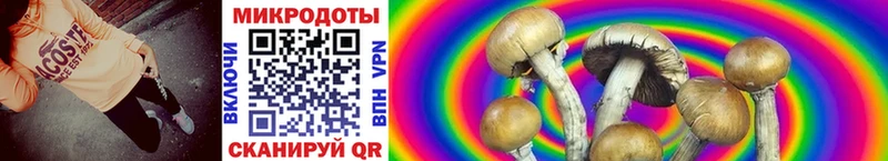 Псилоцибиновые грибы Magic Shrooms блэк спрут ссылки Борзя